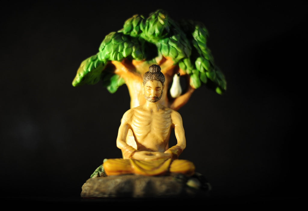 What Does The Bodhi Tree Symbolize In Buddhism?